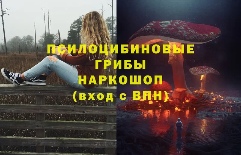 Галлюциногенные грибы ЛСД  Янаул 